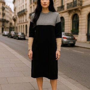 Madewell Color Block Merino Wool Sweater Dress Womens Size XXS Holidays